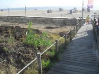 /album/galeria-de-fotos/praia-da-sereia-canide-jpg/